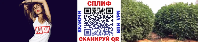 Шишки марихуана ГИДРОПОН  Купить  Козельск 
